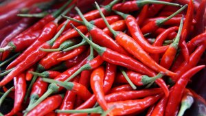 La acidez estomacal aparece cuando los gases producidos por la digestión ascienden por el esófago.