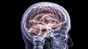 La esclerosis múltiple es una enfermedad neurológica degenerativa.