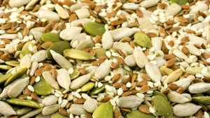 Las semillas de girasol y las de lino son dos de los tipos de semillas más comunes.